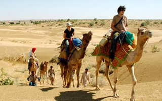 Desert Safaris in Jaisalmer